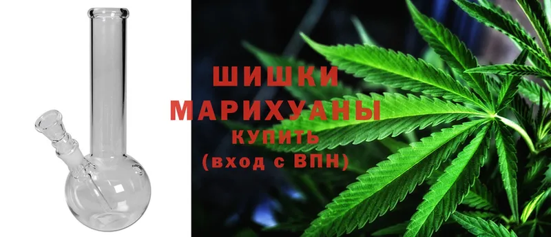 Шишки марихуана Bruce Banner  где продают   Балашиха 